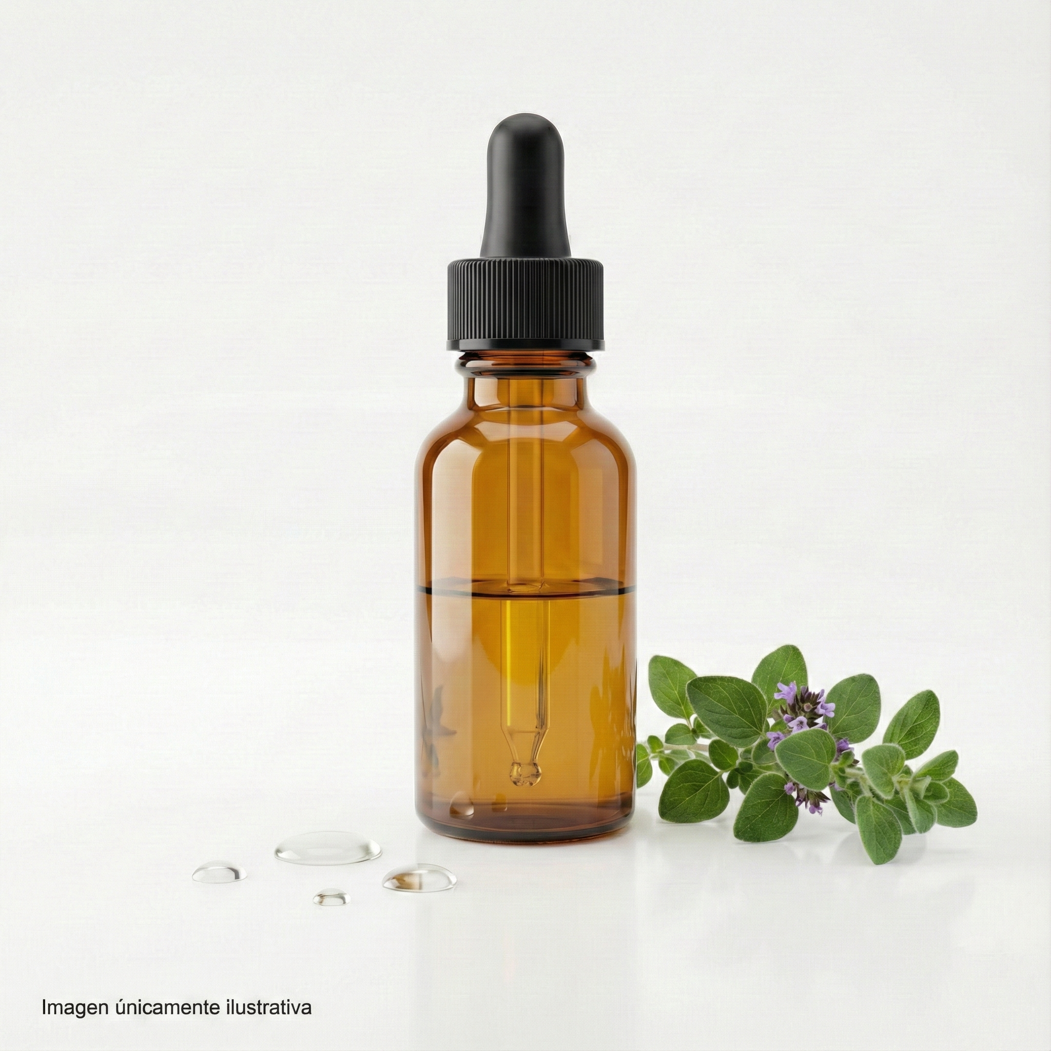 Oregano