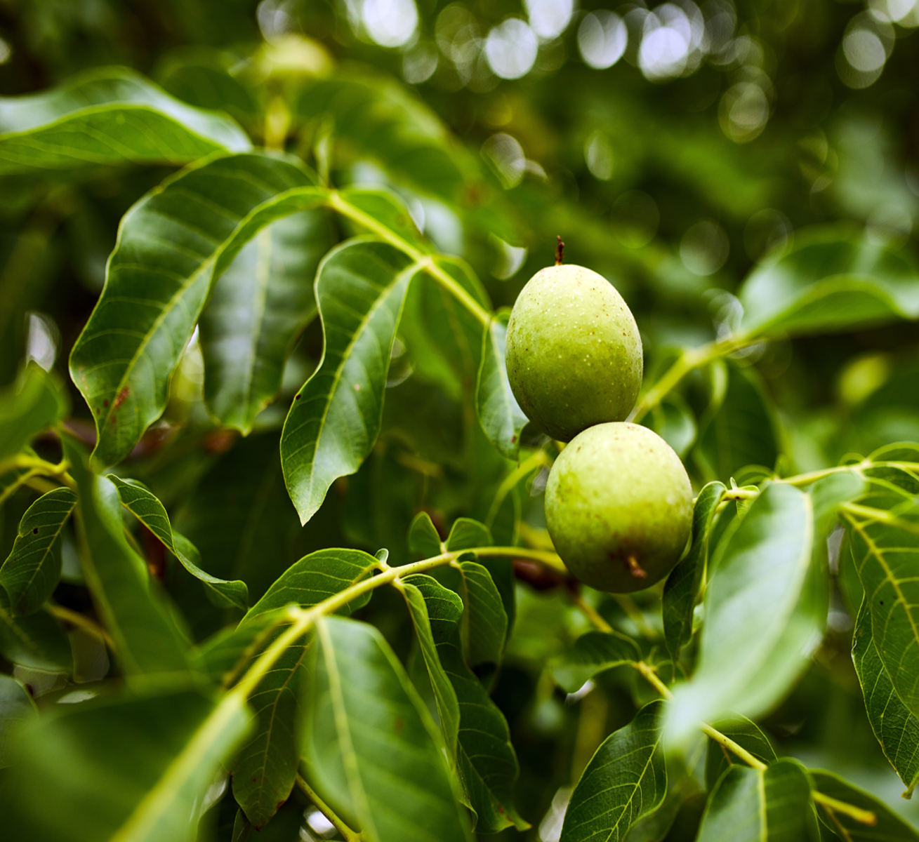 Dropper bottles of serum or essential oil and sea salt standing